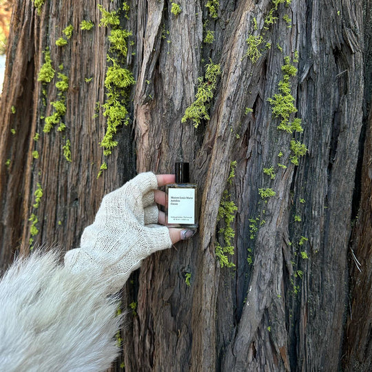 Cassis, White Rose and Bergamot are the standout notes with the fragrance having fruity Bergamot and Cassis, with a green White Rose and warm Oakmoss and Musk base. The scent is floral and is described by Maison Louis Marie as a more feminine scent.