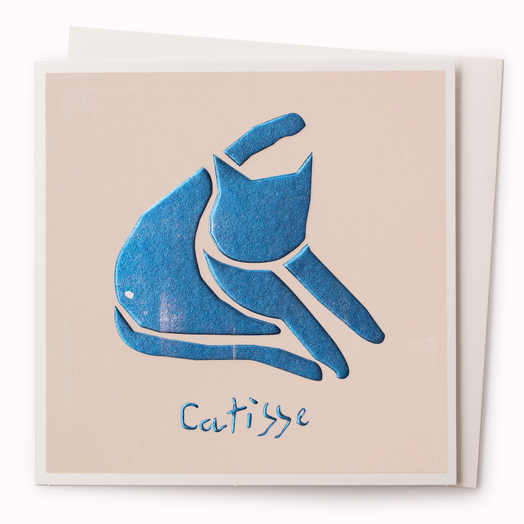 Catisse is a humorous card and is suitable for any occasion including birthdays, or just a note to say 'hi'!