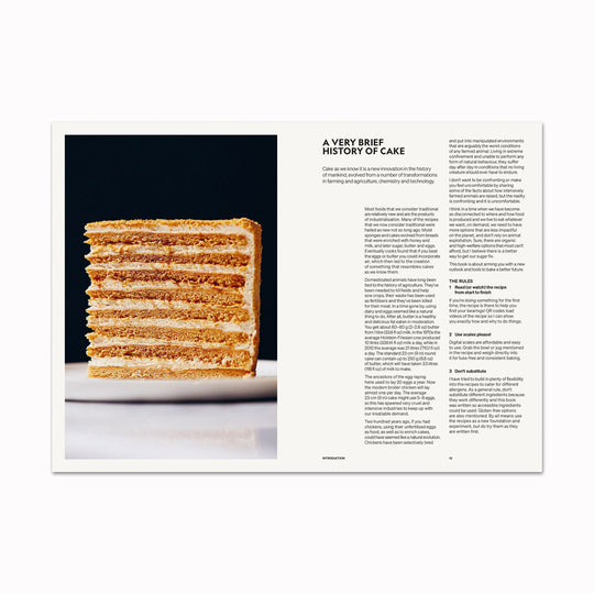 A New Way to Bake offers a concise overview of baking history before introducing the Plantry, detailing key ingredients and their roles.