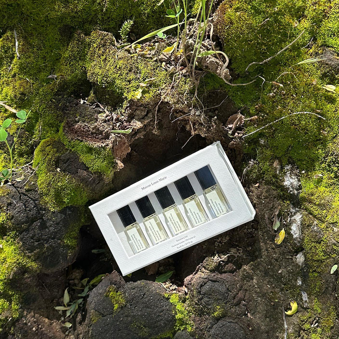 Perfume Oil Bestseller Discovery Gift Set | 5 x 3ml