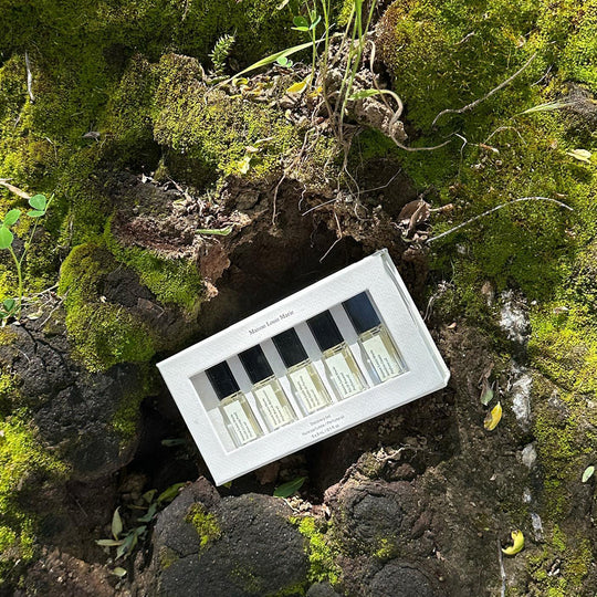 Perfume Oil Bestseller Discovery Gift Set | 5 x 3ml
