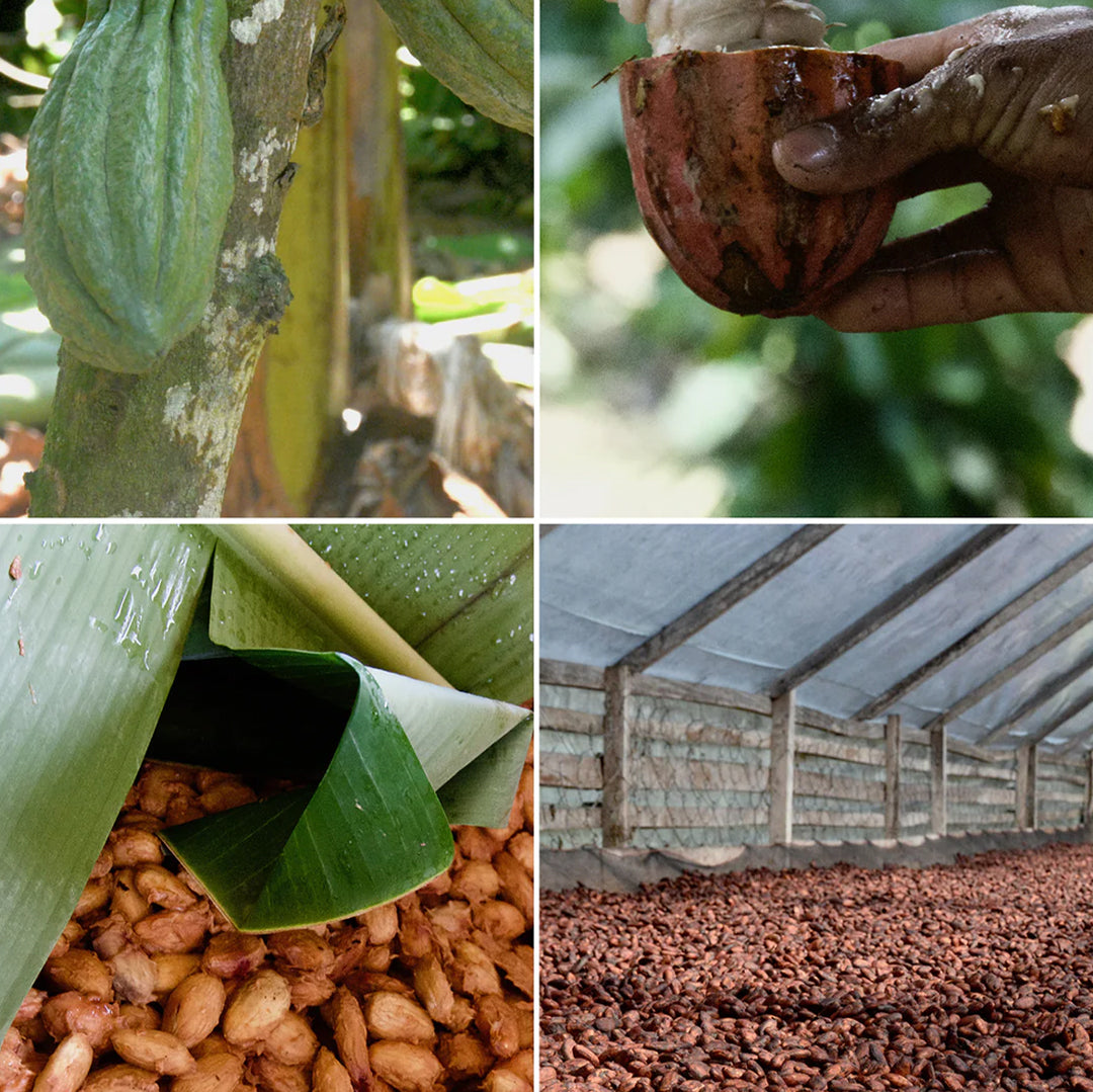 Single-origin Philippines 70% dark chocolate with taste notes of pecan pie and crème brûlée from Bare Bones Chocolate