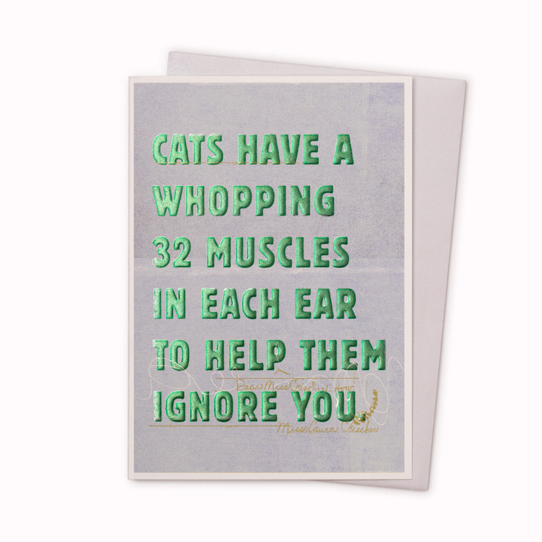 Funny typographic card featuring bold type on a painterly background. Perfect for the birthday of someone young at heart. Deliberately left blank inside for your own personal message, whether for a birthday or 'just because'.