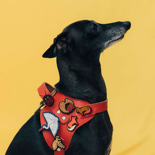As Worn. Hand embroidered Bee decorative lapel pin by Paris based Macon et Lesquoy - personalise your favourite garments to define your individual style.