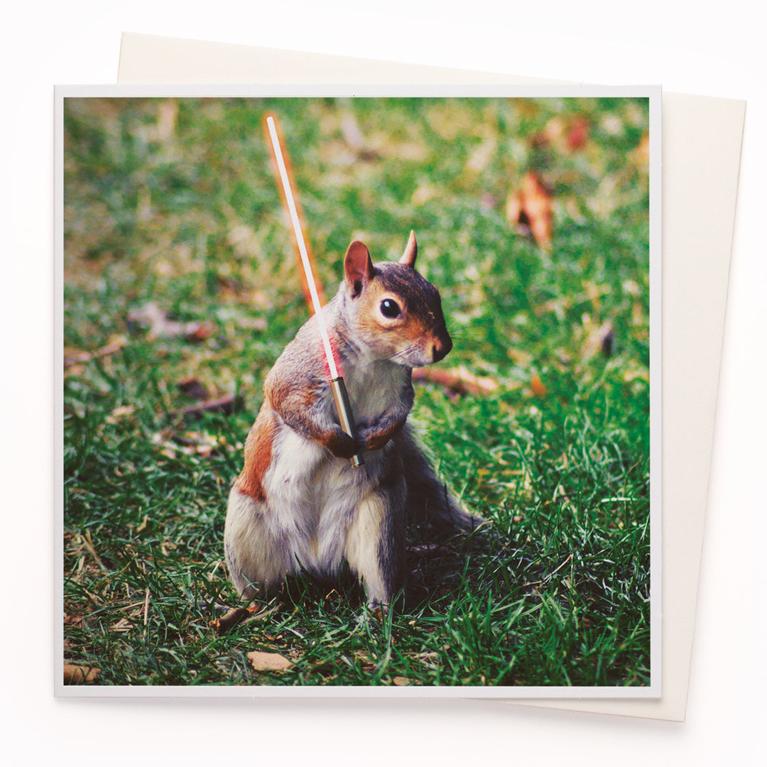 A mainstay of the USTUDIO collection, 1000 Words is a creative and humorous photographic greeting card range that is also our most decorated range. It has now won three Henries (the 'Oscars' of the greeting card industry... yes there really is such a thing!)