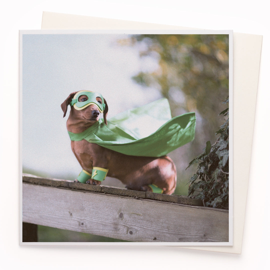 A mainstay of the USTUDIO collection, 1000 Words is a creative and humorous photographic greeting card range that is also our most decorated range. It has now won three Henries (the 'Oscars' of the greeting card industry... yes there really is such a thing!)