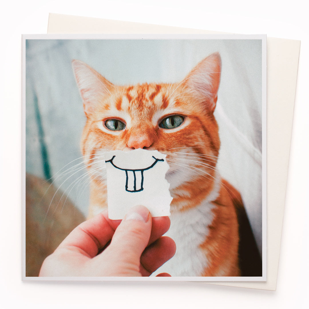 The 'Buck Tooth Kitty' card is part of the 1000 Words - Slice of life licensed photography collection with a focus on animal shenanigans and the ridiculous.