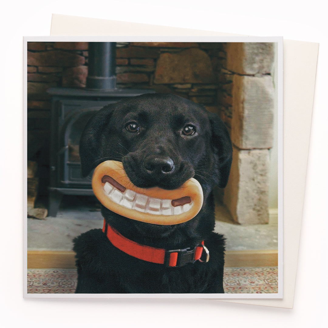 A mainstay of the USTUDIO collection, 1000 Words is a creative and humorous photographic greeting card range that is also our most decorated range. It has now won three Henries (the 'Oscars' of the greeting card industry... yes there really is such a thing!)