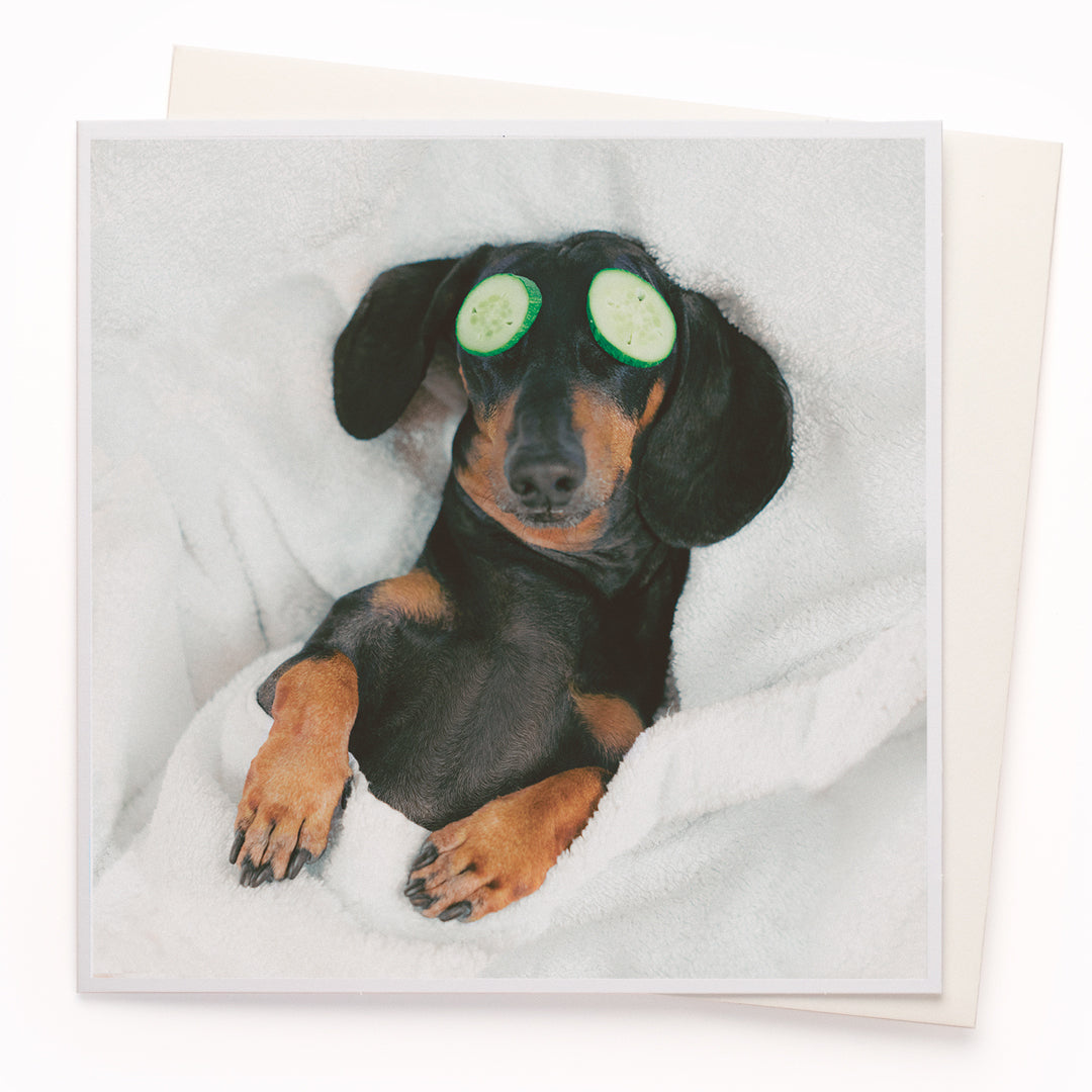 A mainstay of the USTUDIO collection, 1000 Words is a creative and humorous photographic greeting card range that is also our most decorated range. It has now won three Henries (the 'Oscars' of the greeting card industry... yes there really is such a thing!)