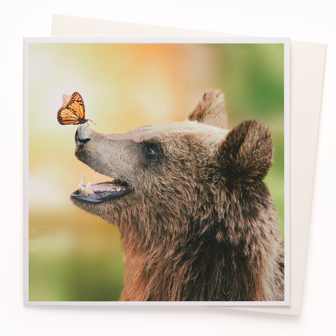 A mainstay of the USTUDIO collection, 1000 Words is a creative and humorous photographic greeting card range that is also our most decorated range. It has now won three Henries (the 'Oscars' of the greeting card industry... yes there really is such a thing!)