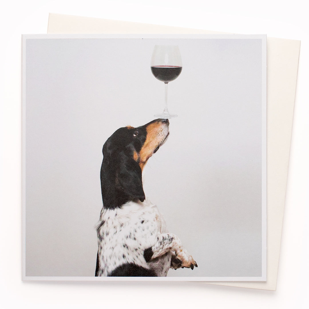A mainstay of the USTUDIO collection, 1000 Words is a creative and humorous photographic greeting card range that is also our most decorated range. It has now won three Henries (the 'Oscars' of the greeting card industry... yes there really is such a thing!)