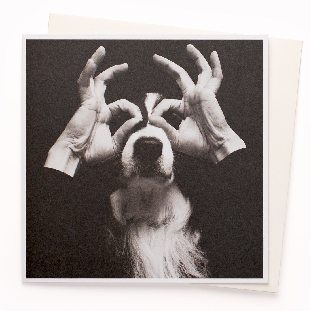 A mainstay of the USTUDIO collection, 1000 Words is a creative and humorous photographic greeting card range that is also our most decorated range. It has now won three Henries (the 'Oscars' of the greeting card industry... yes there really is such a thing!)
