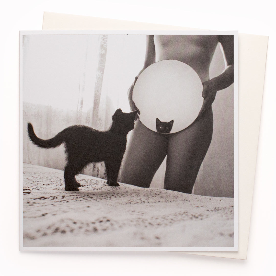 A mainstay of the USTUDIO collection, 1000 Words is a creative and humorous photographic greeting card range that is also our most decorated range. It has now won three Henries (the 'Oscars' of the greeting card industry... yes there really is such a thing!)