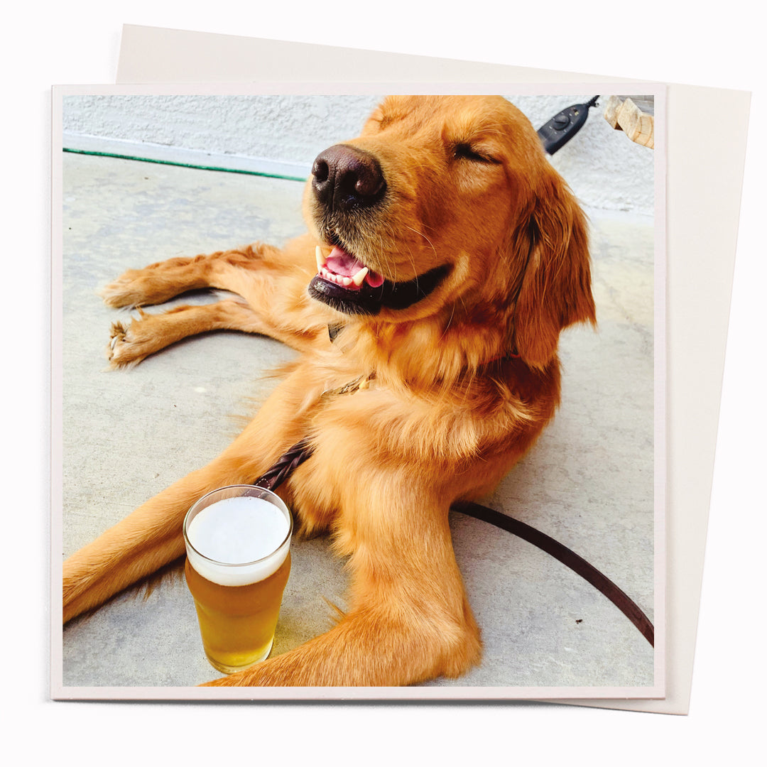 A mainstay of the USTUDIO collection, 1000 Words is a creative and humorous photographic greeting card range that is also our most decorated range. It has now won three Henries (the 'Oscars' of the greeting card industry... yes there really is such a thing!)