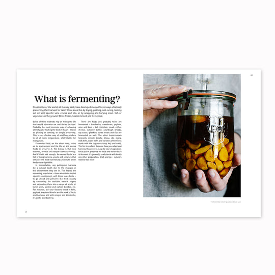 Ferment For Good | Sharon Flynn | Guide to Fermenting Food