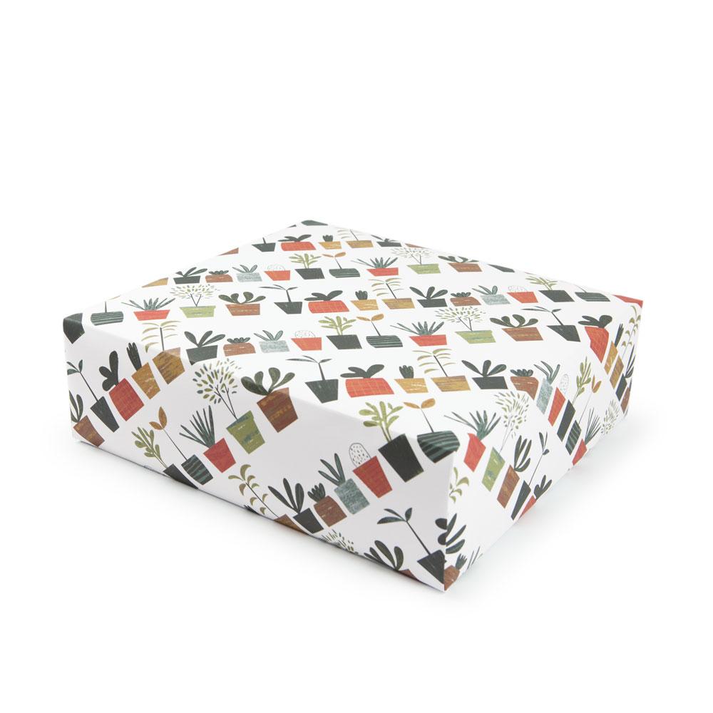 Little Plants' Gift Wrap