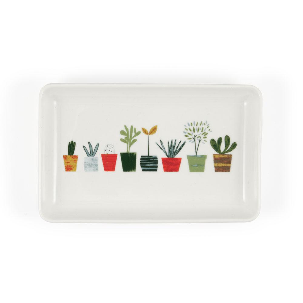 Little Plants Trinket Tray