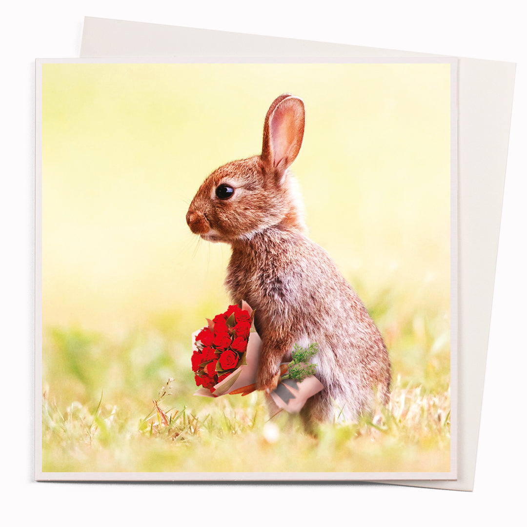 The 'Flowers For You' card is part of the 1000 Words - Slice of life licensed photography collection with a focus on animal shenanigans and the ridiculous.