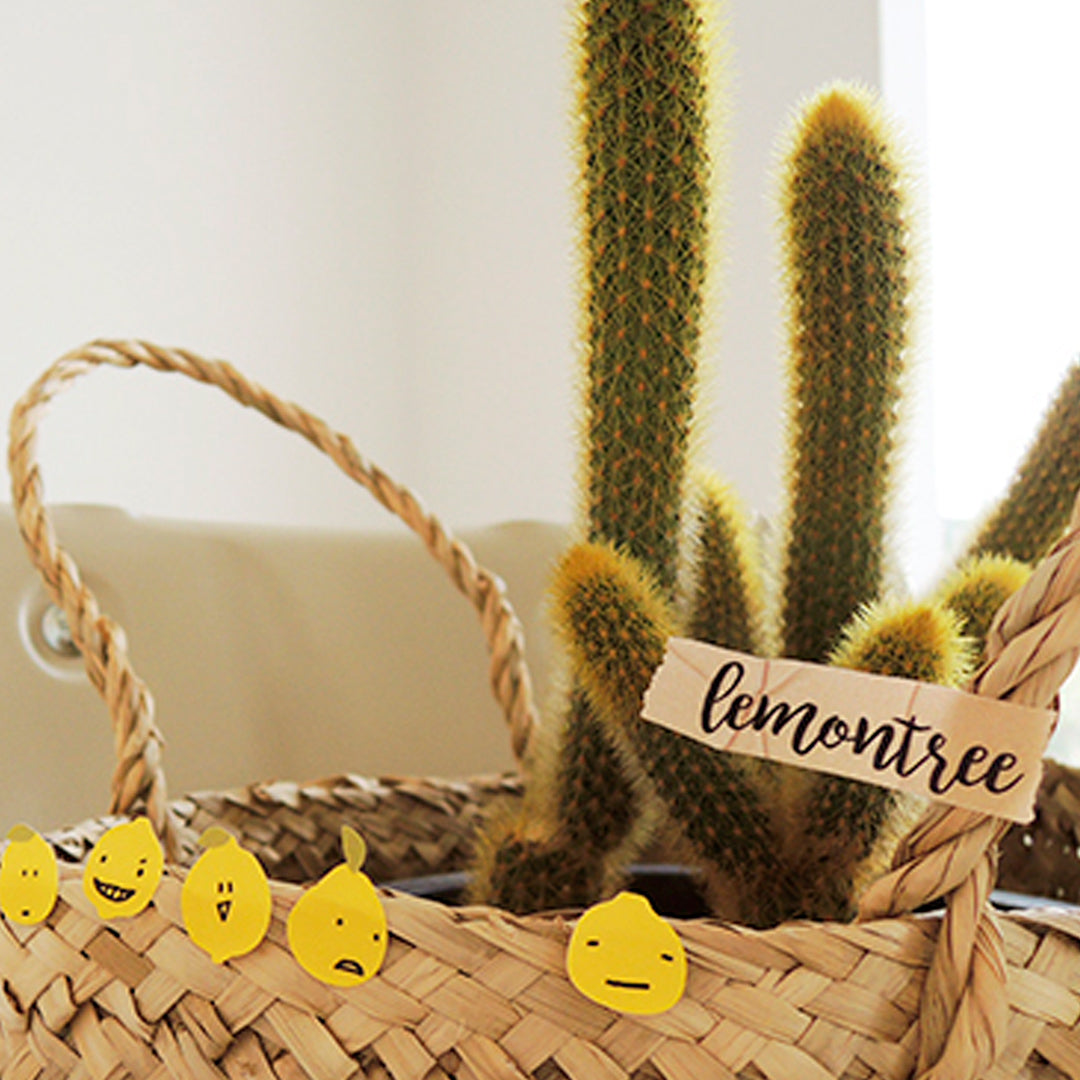 Lemon tree Journal Stickers offer a delightful yet practical addition to any stationery collection.