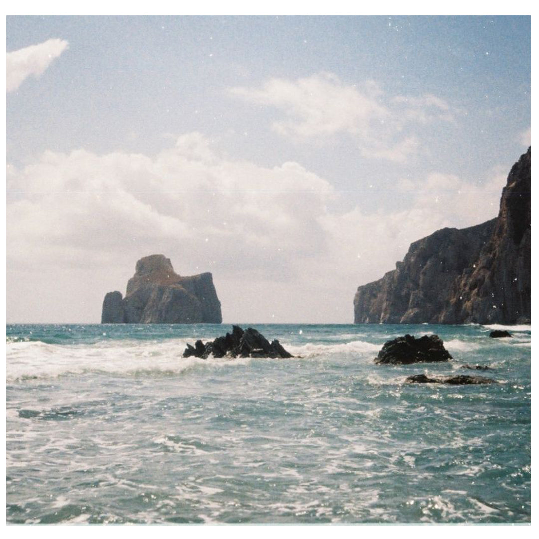 Color Tiger 110 Film | ISO 200