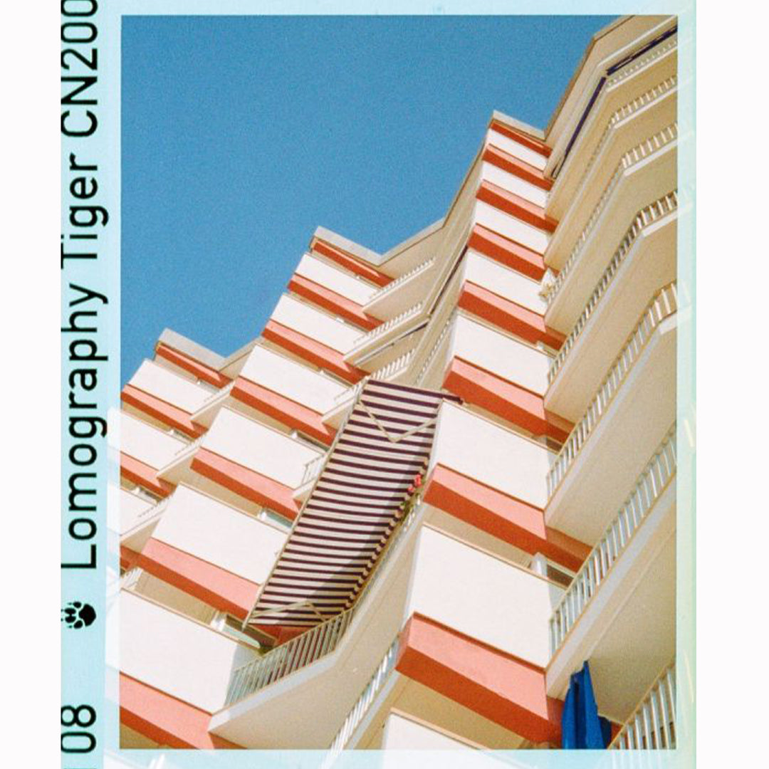 Color Tiger 110 Film | ISO 200