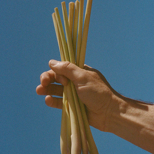 L:A Bruket's bestselling Lemongrass scent, available in a zesty fresh smelling Body Oil. A superb blend of natural oils for soft and silky skin