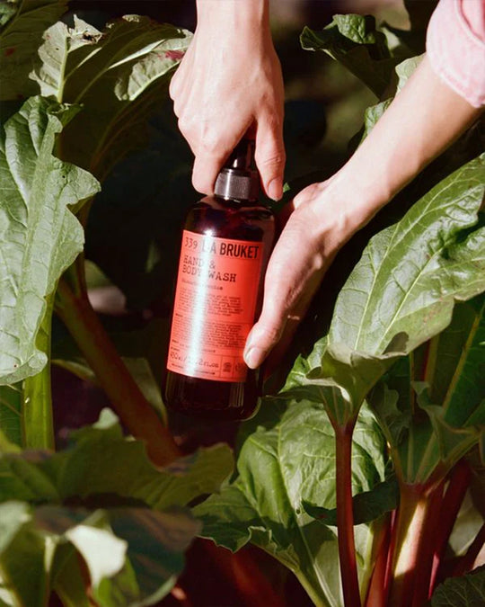 Rhubarb &amp; Geranium Limited Edition body wash from L:A Bruket has fragrance notes of sharp rhubarb and green geranium notes