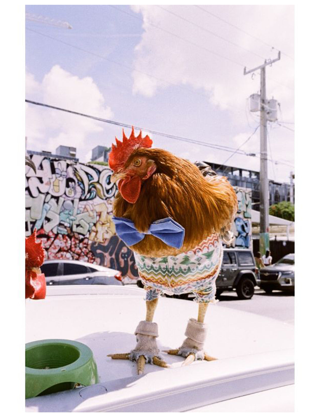 LomoChrome Metropolis 35mm Film | ISO 100–400