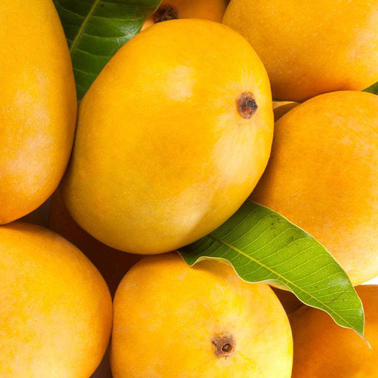 Alphonso Mango | Limited Edition Preserve | 225g