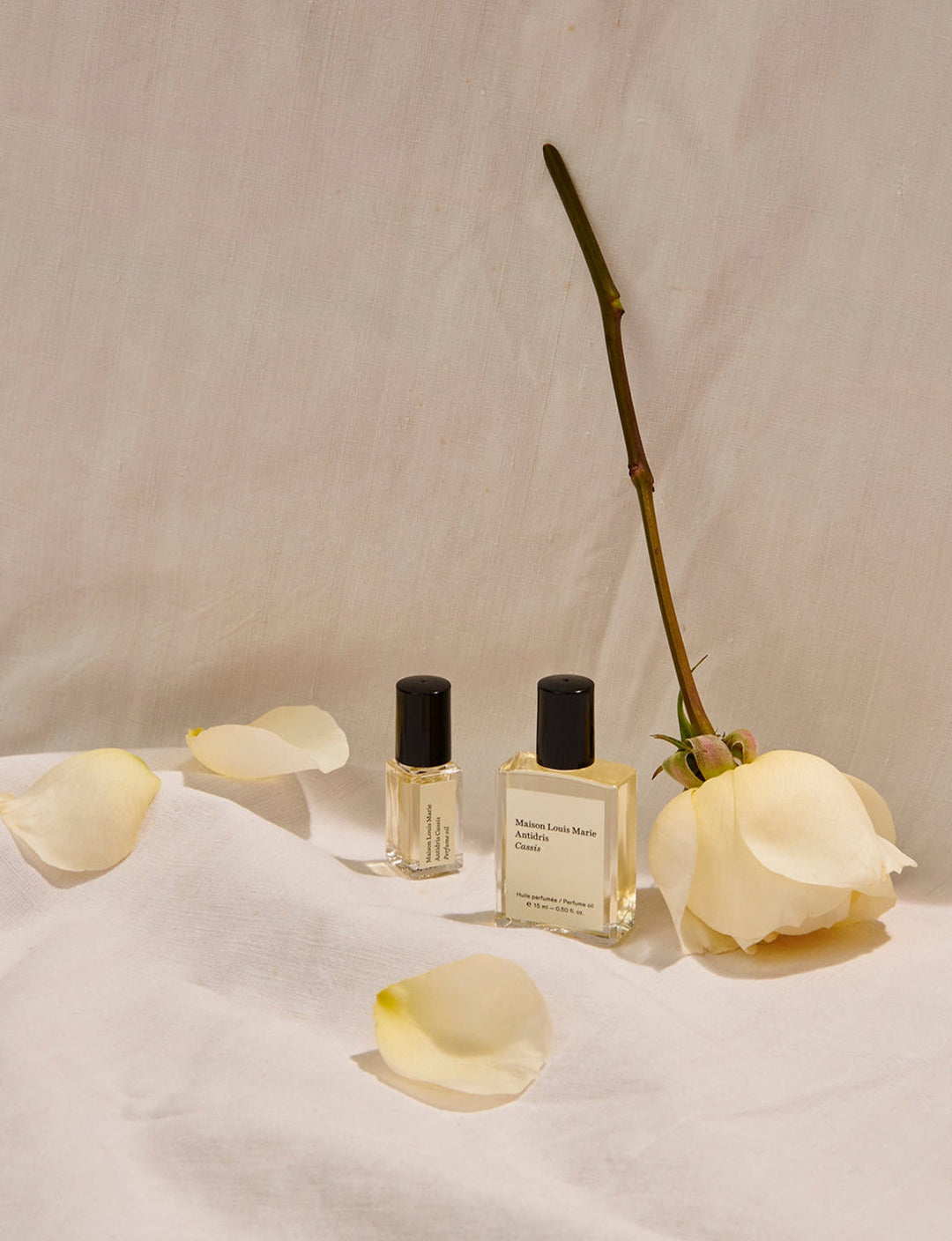 Antidris Cassis | Perfume Oil