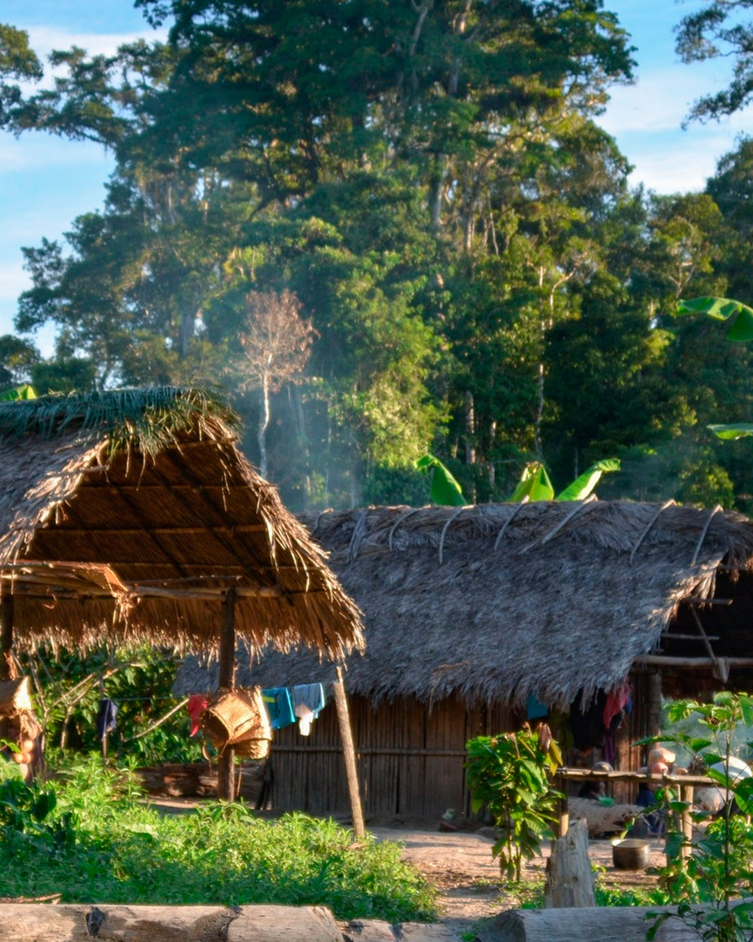 This is a single-origin dark chocolate made from cacao grown by the Asháninka communities in Peru’s Ene River valley.