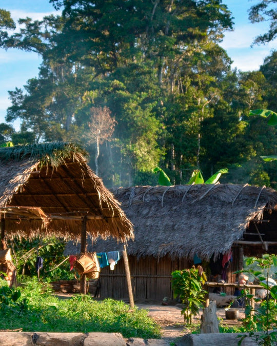 This is a single-origin dark chocolate made from cacao grown by the Asháninka communities in Peru’s Ene River valley.