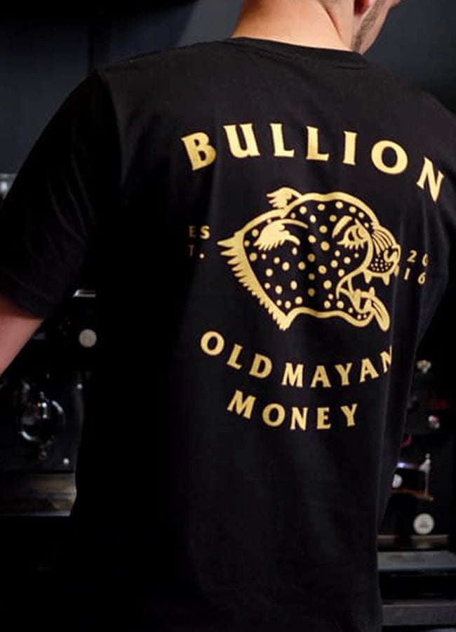 Bullion Tshirt - old mayan money