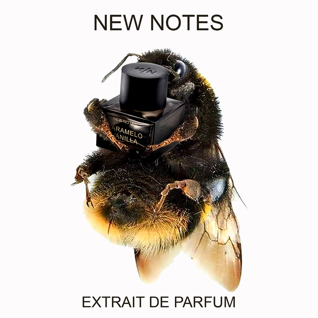 Caramelo Vanilla | Extrait de Parfum | 50 ml