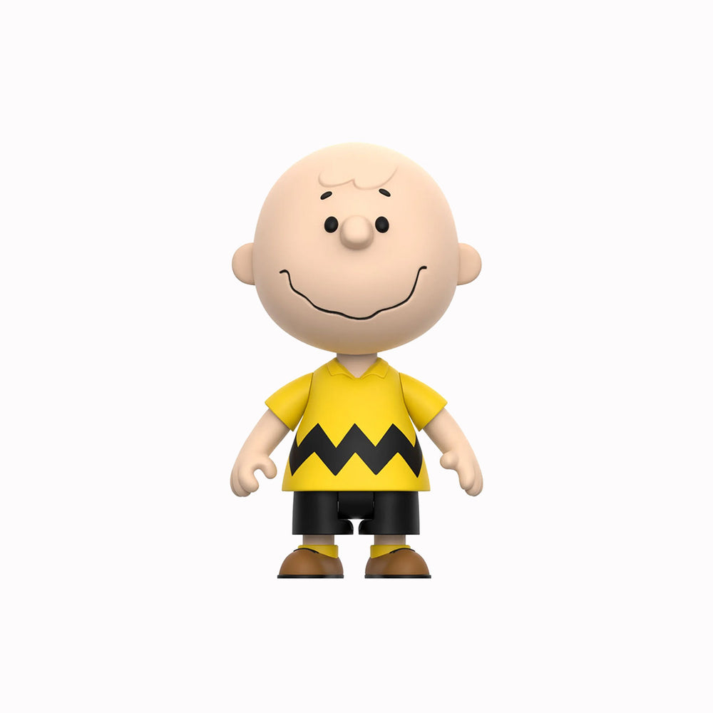 Peanuts | Vinyl Collectible Figurine | Charlie Brown