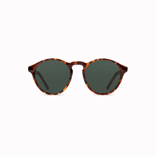 Devon | Sunglasses | Tortoise