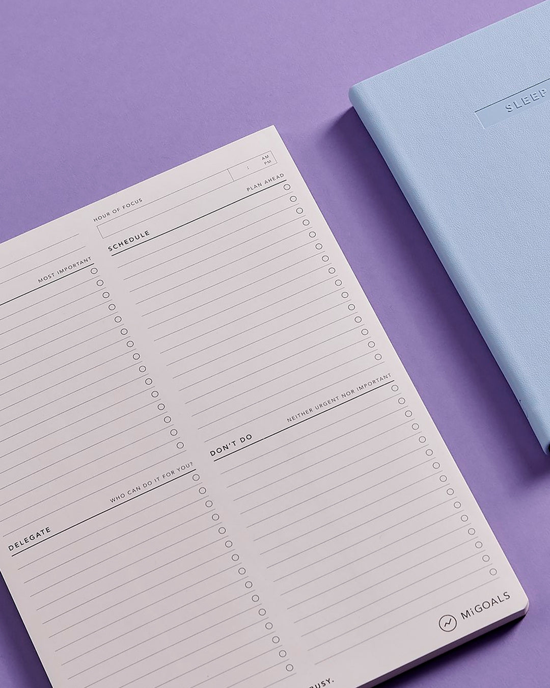 The layout follows a four-part workflow: define a project or daily goal, assign a focused hour