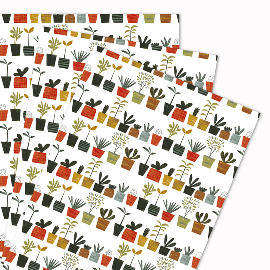 Little Plants | Gift Wrap