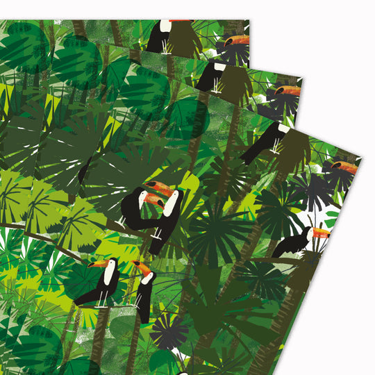 Toucan | Illustrative Gift Wrap Sheet