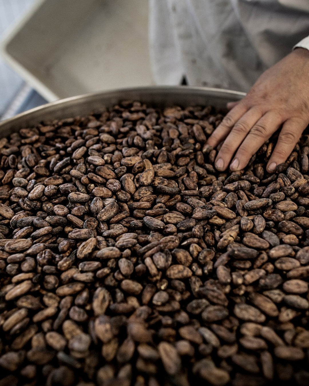 Friis-Holm Chokolade is a Danish bean-to-bar chocolate maker known for producing small-batch chocolate with a strong focus on cacao genetics, sourcing transparency, and flavour precision.