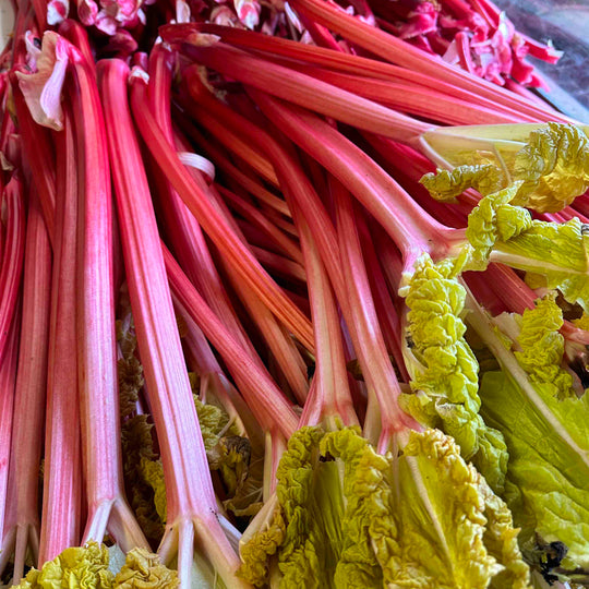 The Limited Edition Harbinger Rhubarb Preserve is a small-batch fruit preserve made with single-variety Harbinger rhubarb sourced from a fourth-generation Yorkshire grower.