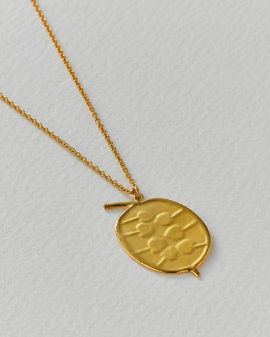 The Honesty Pod necklace is a botanical pendant necklace with charming heart shaped seed detail.