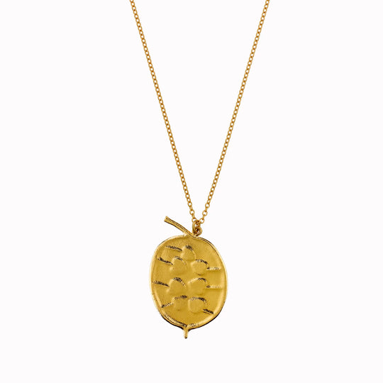 The Honesty Pod necklace is a botanical pendant necklace with charming heart shaped seed detail.