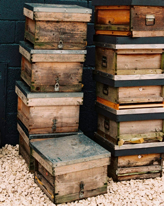 Black Bee Honey's unique selling points include their direct "flower to jar" production, their dedication to sustainability through habitat creation, and the traceability of their product.