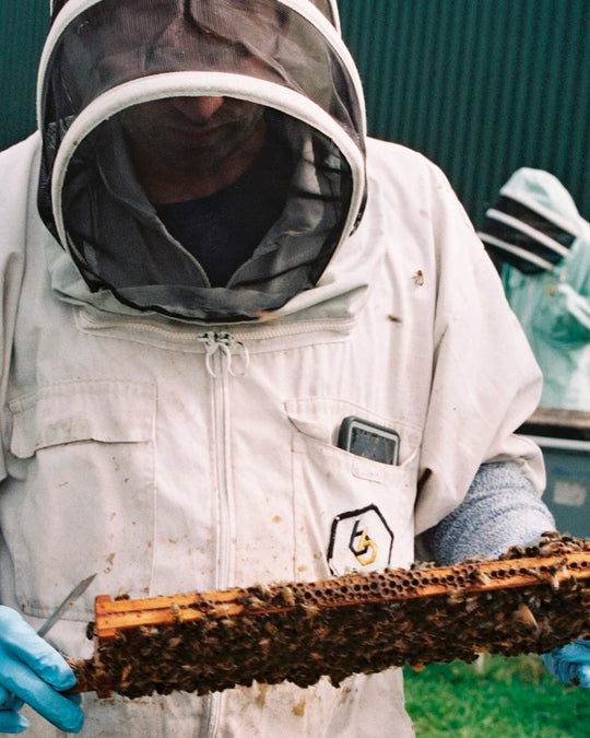 Black Bee Honey's unique selling points include their direct "flower to jar" production, their dedication to sustainability through habitat creation, and the traceability of their product.
