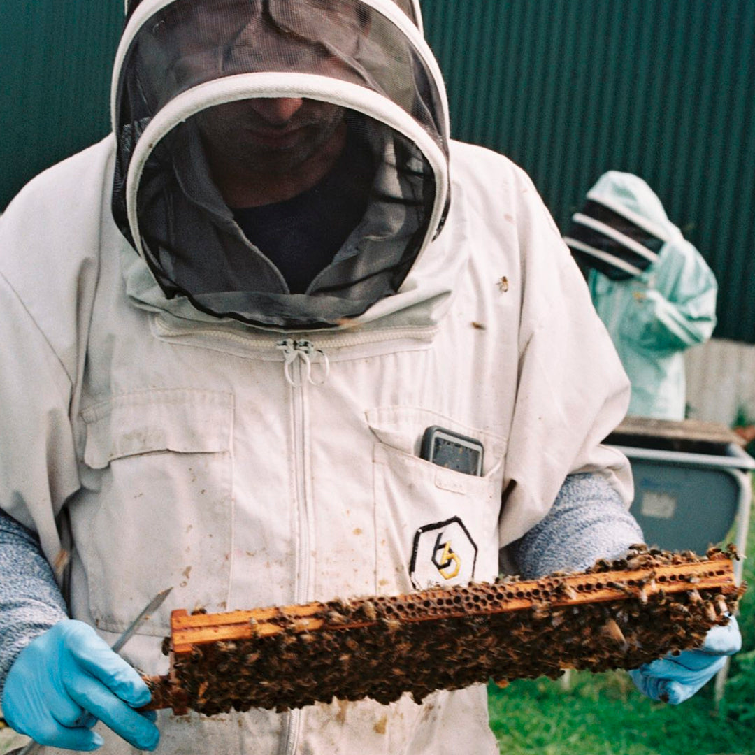 British Autumn Honey | 227g