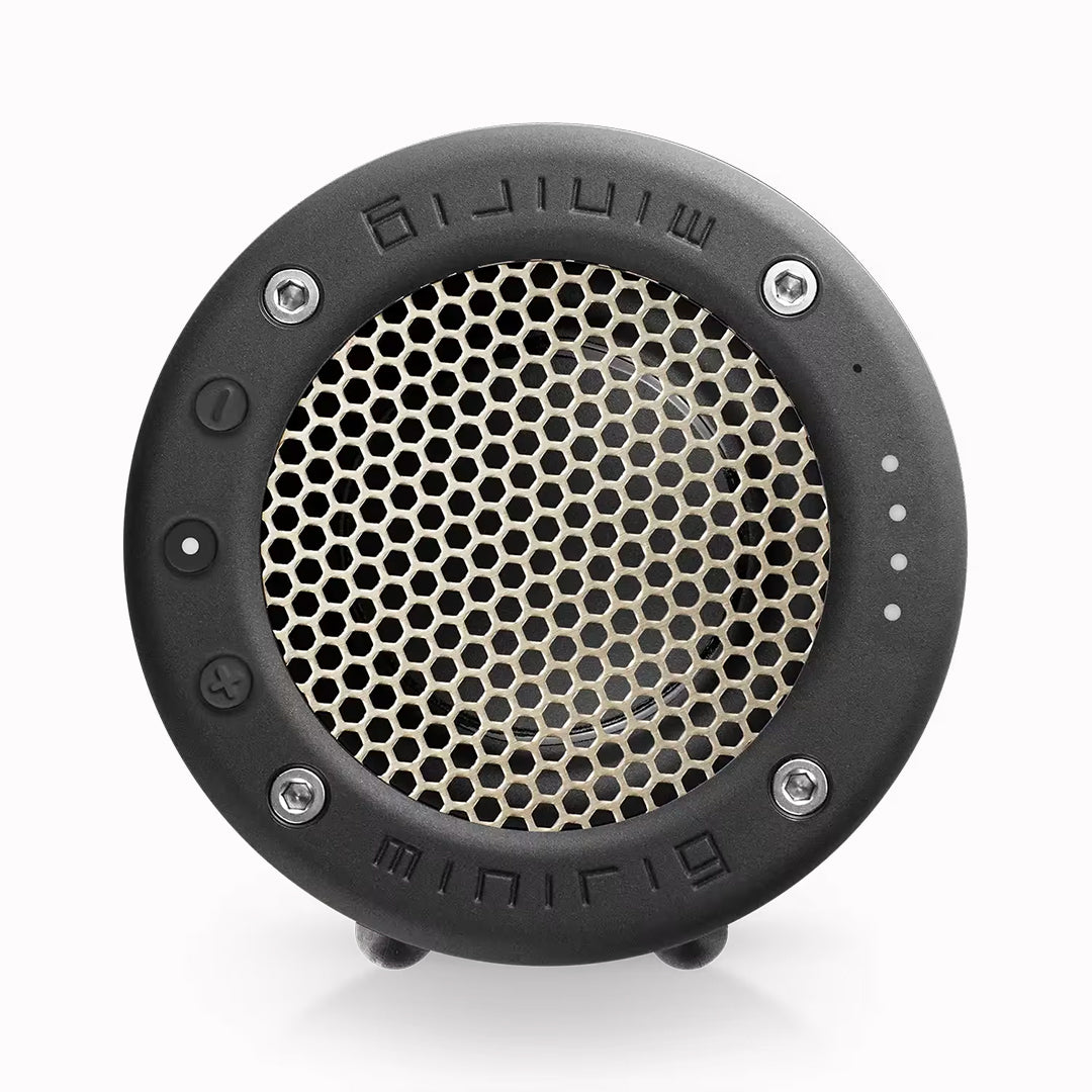 Minirig Sub | Portable Subwoofer | Brushed Ion