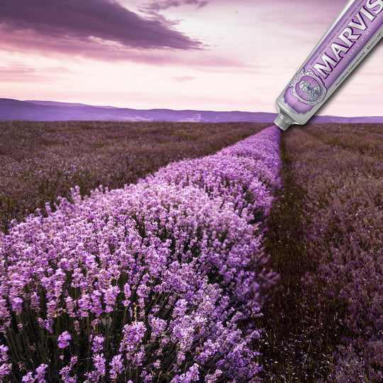 The rich, creamy texture gently polishes teeth while protecting enamel and preventing decay. Its iconic metallic tube and bold design reflect Marvis’s Italian heritage of style and quality.&nbsp;