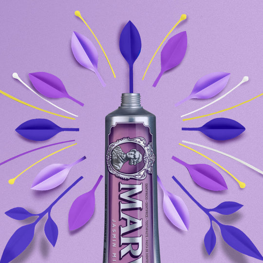 Jasmine & Mint Tube Stand Set | Premium Toothpaste