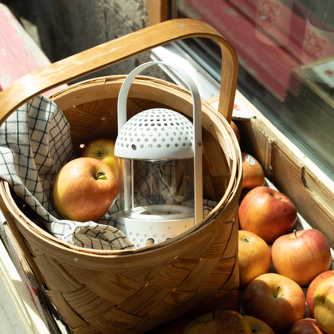 Light Speaker | Bluetooth Powered Speaker | White